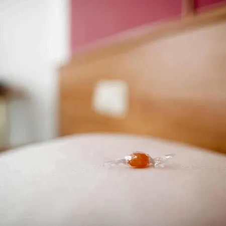 Berlin Apartmanhotel Bad Nenndorf